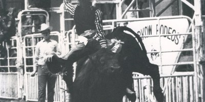 David Schildt California News Online