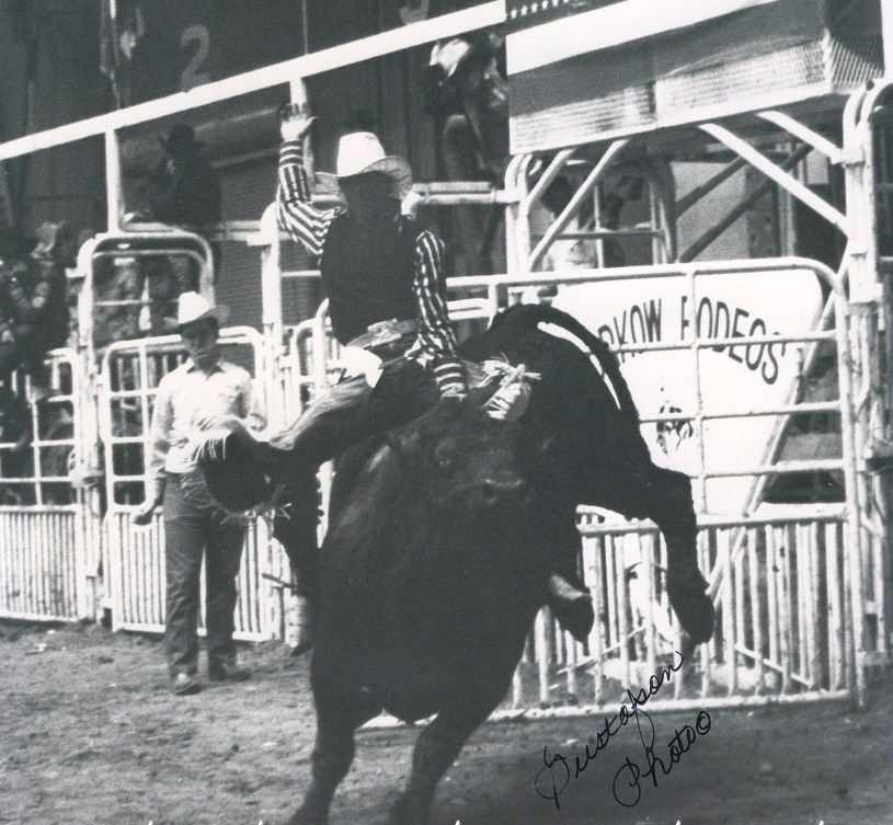 David Schildt California News Online