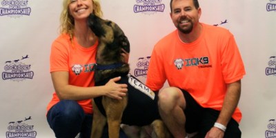California News Online had it first - Rex the DockDog Champion is a survivor