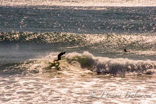 Windy or not, the surf is always fun in California - Photo © 2015 Donna Balancia