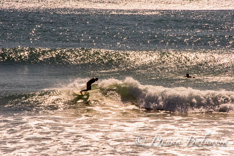 Windy or not, the surf is always fun in California - Photo © 2015 Donna Balancia