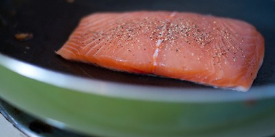 Salmon
