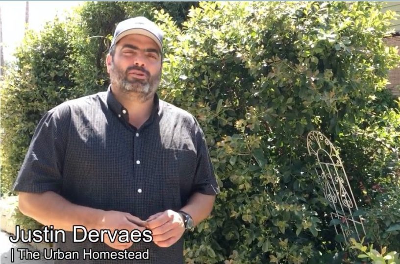 Justin Dervaes - Courtesy the Urban Gardener