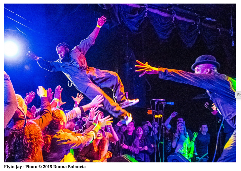 Fishbone - Photo (c) Donna Balancia